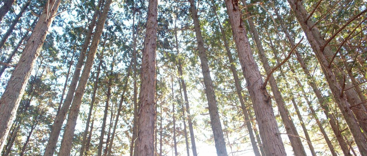 自社開発アプリのバックエンドエンジニア募集！事業拡大につき神戸事務所新設