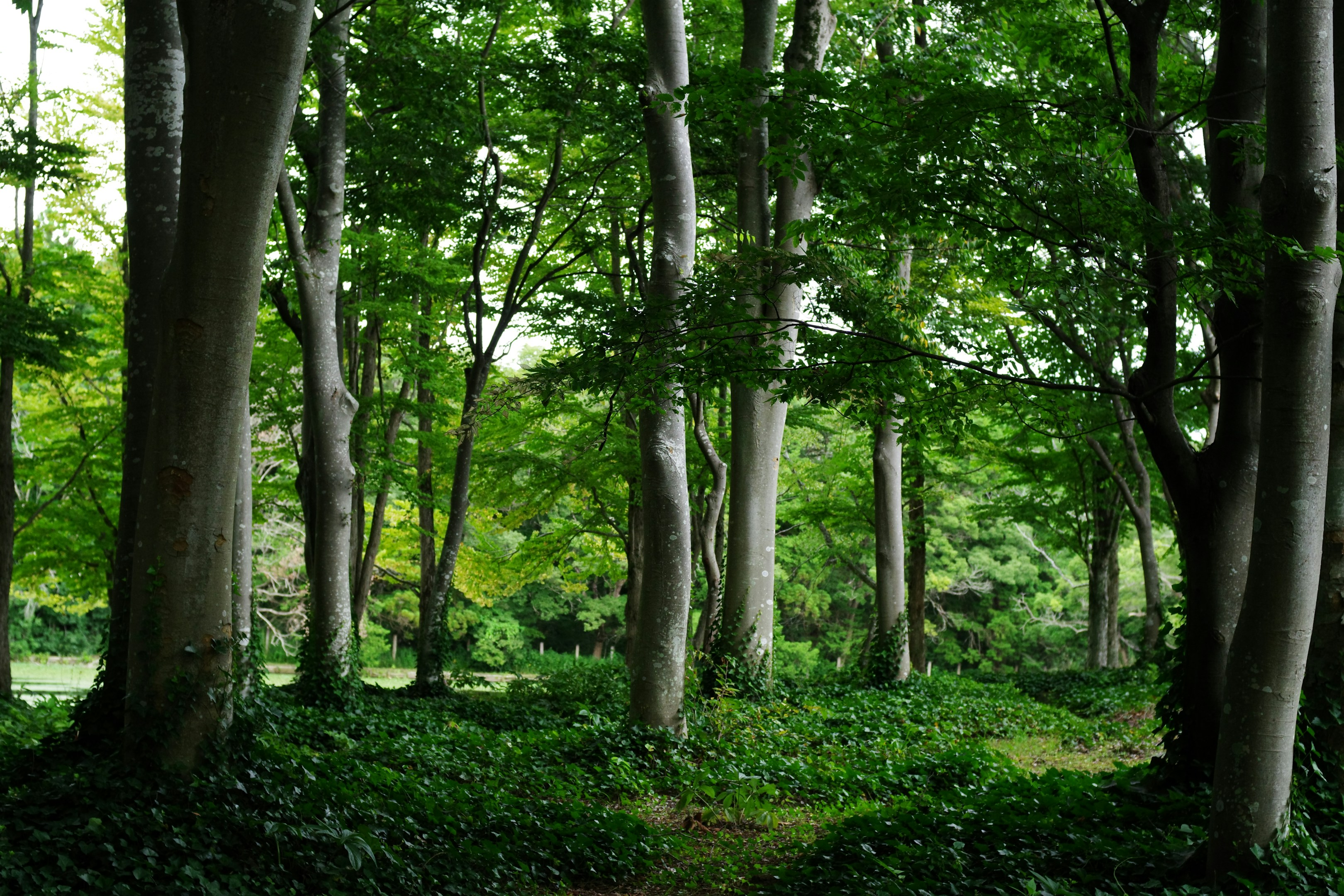 【趣味の話】モヤモヤ・・・