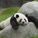 たきむら あつし