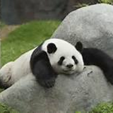 たきむら あつし