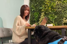 動物福祉×人間福祉で共に豊かな社会を実現しませんか？