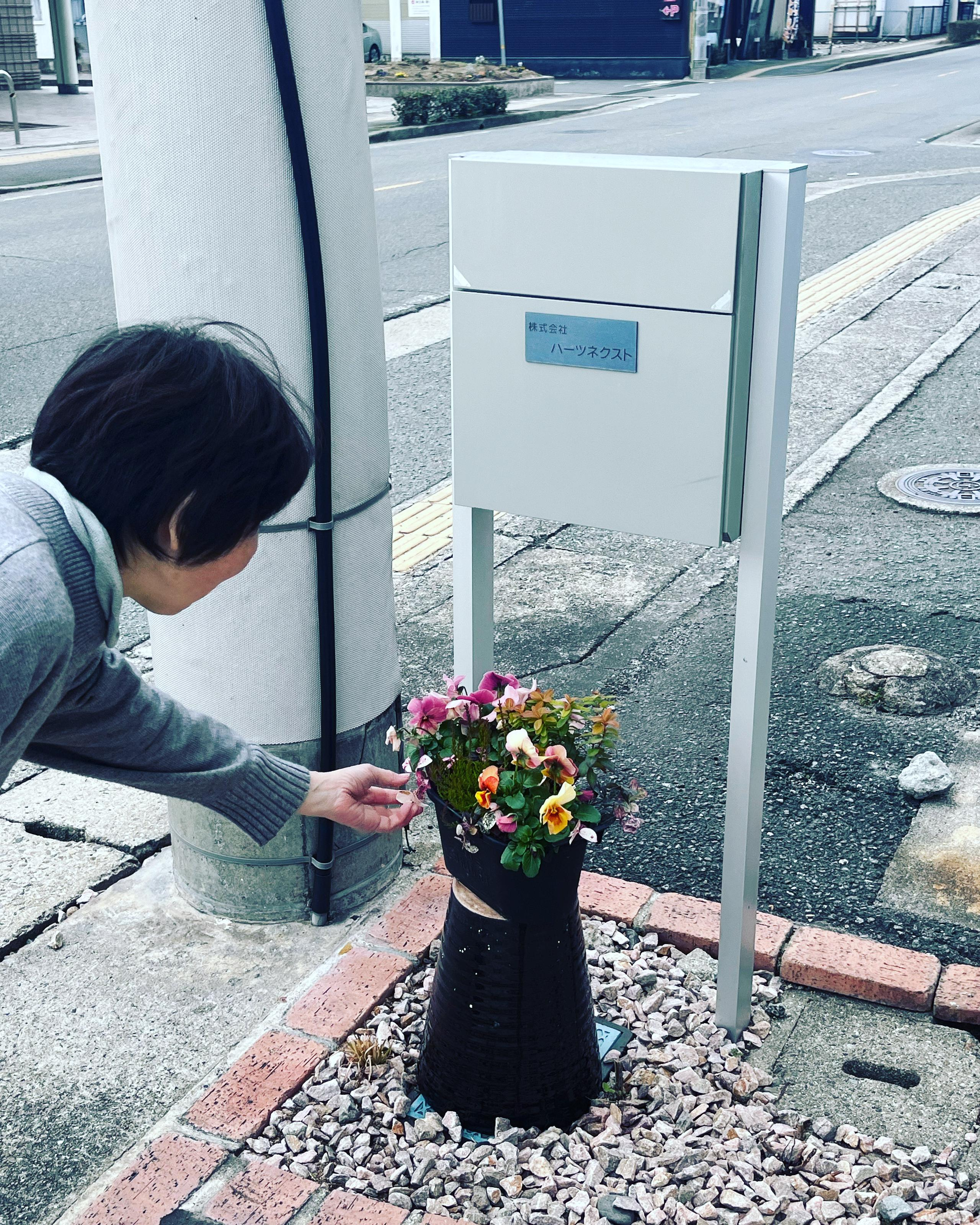 会社で季節を感じます