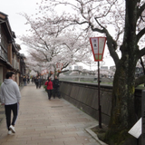 山田 泰士