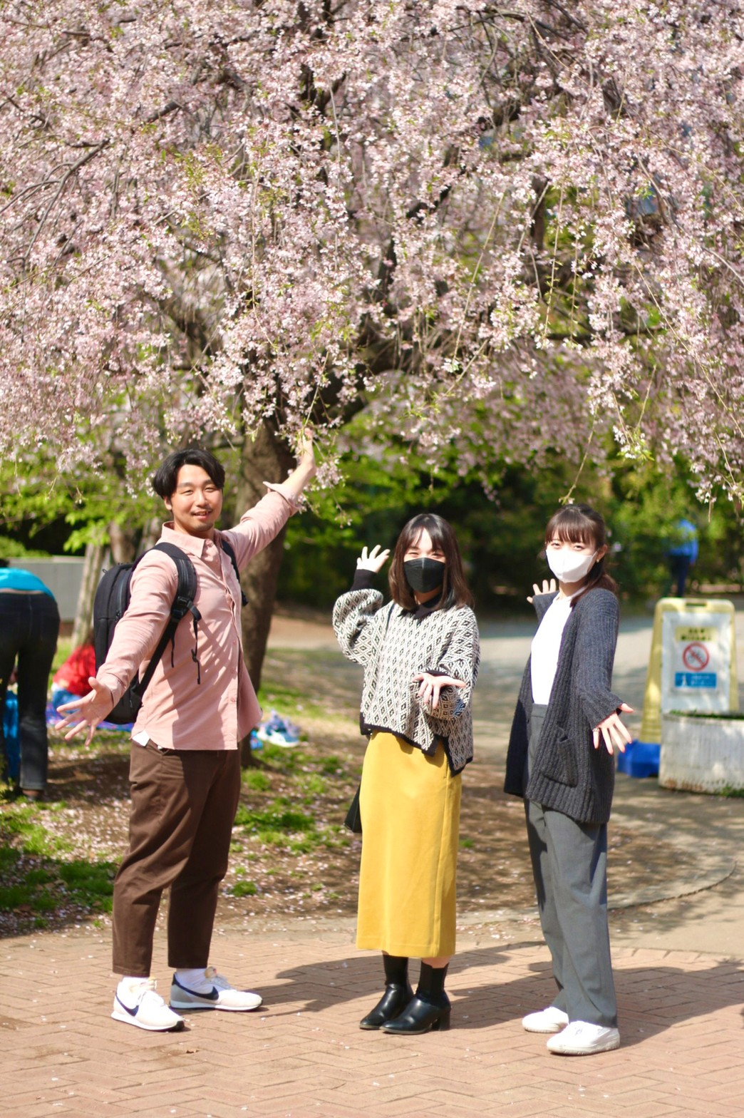 【ENGEI報】お花見イベント開催しました！