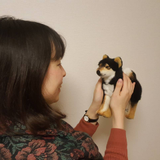 関口 由起子