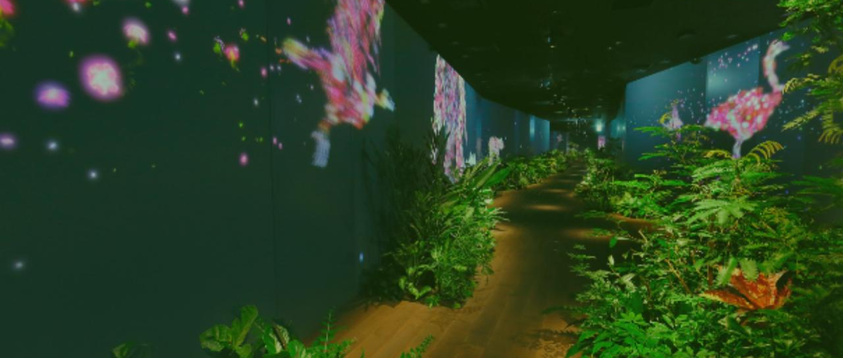 データの可能性を追求！熱意とスキルを持ったデータアナリストを大募集！