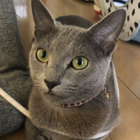 川中子 遥人さんのプロフィール