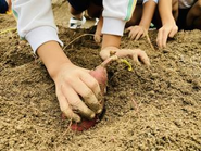 収穫祭の様子。大広い畑があり、年間を通して種蒔きや苗植え、草取りや水やりなどの世話に取り組んでいます