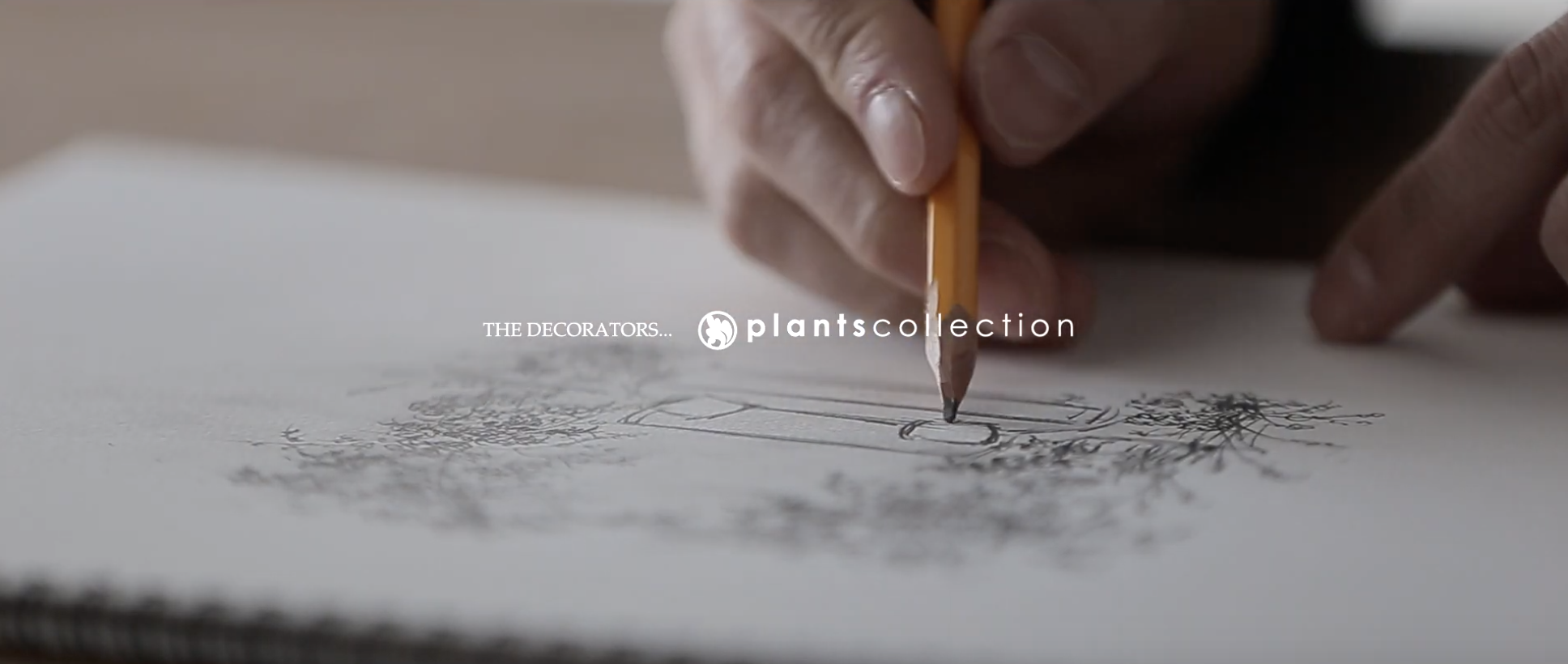 プランツコレクションPV2_私たちのこだわり