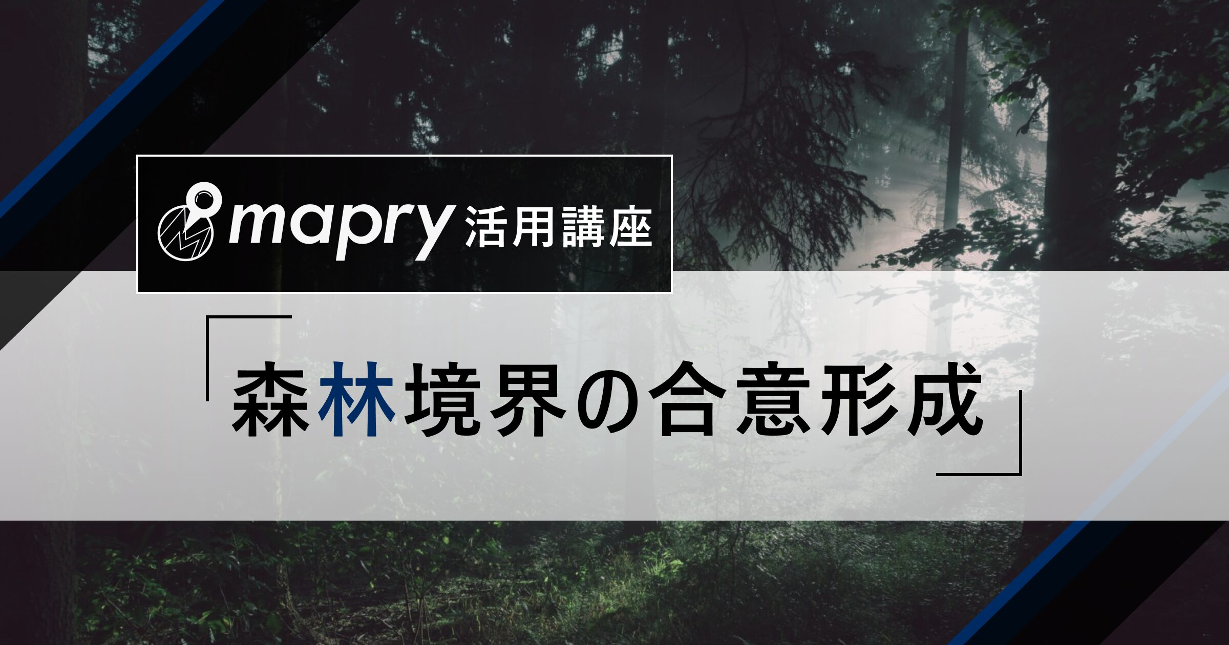 リモートセンシングやGISを活用した森林境界の合意形成の手法を公開