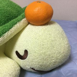 上坂 過瓜