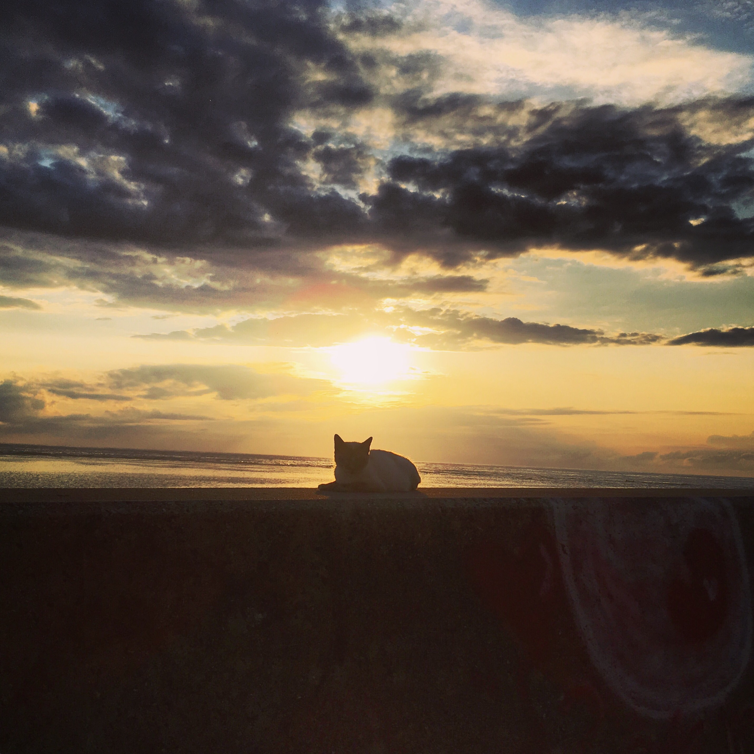 18卒可＞グローバル新規事業立上メンバー募集！じげんがアフリカ進出！？ - 株式会社じげんのセールス・事業開発の採用 - Wantedly