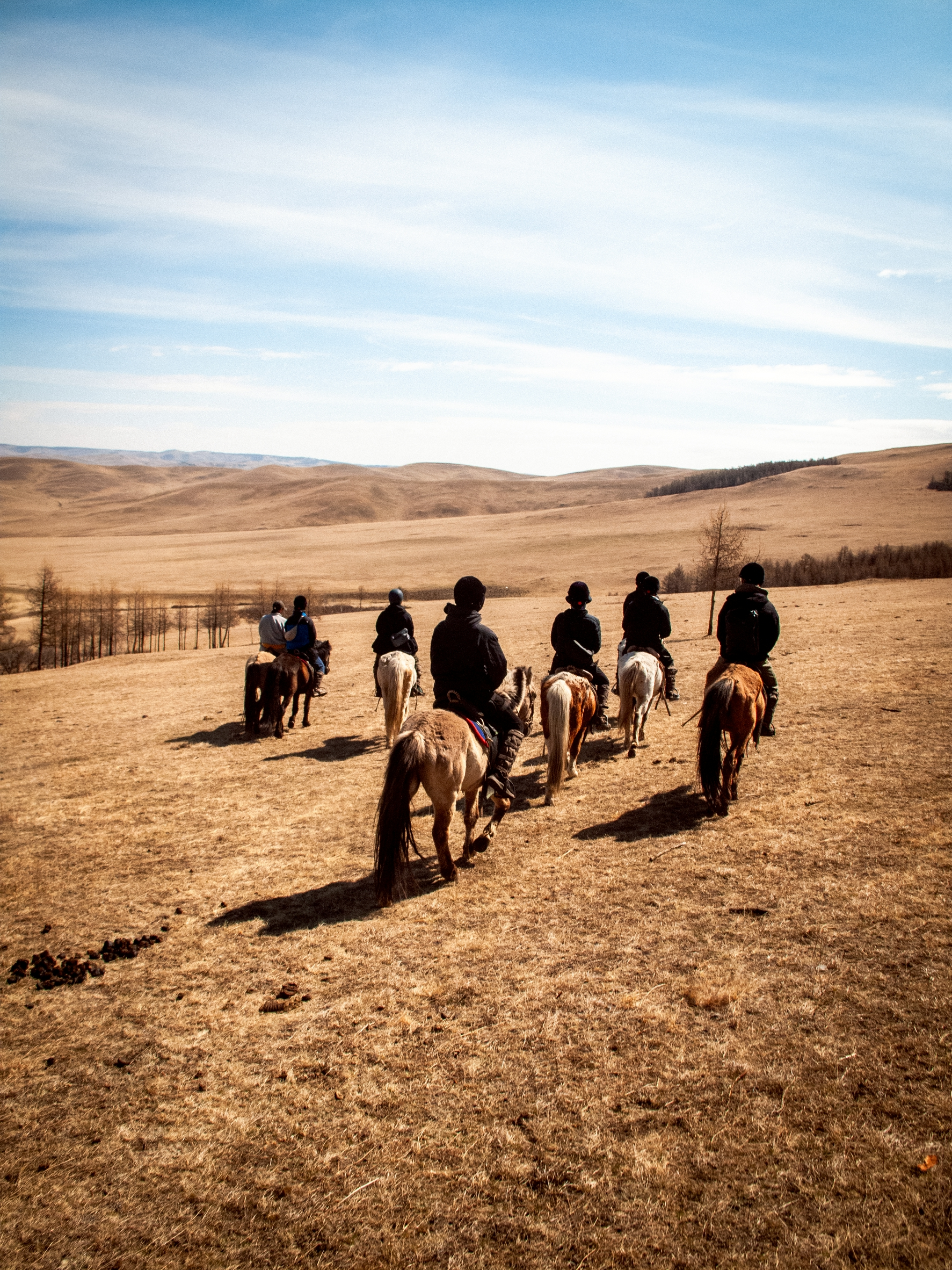 【社員の日記 #1】GWは休暇を取って伊勢とモンゴル旅へ