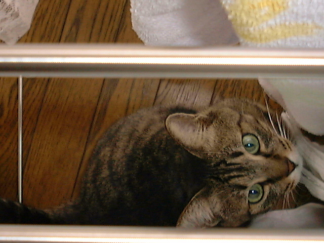 私にとっての「運命の出会い」