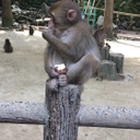 末松　郁野