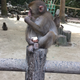 末松　郁野