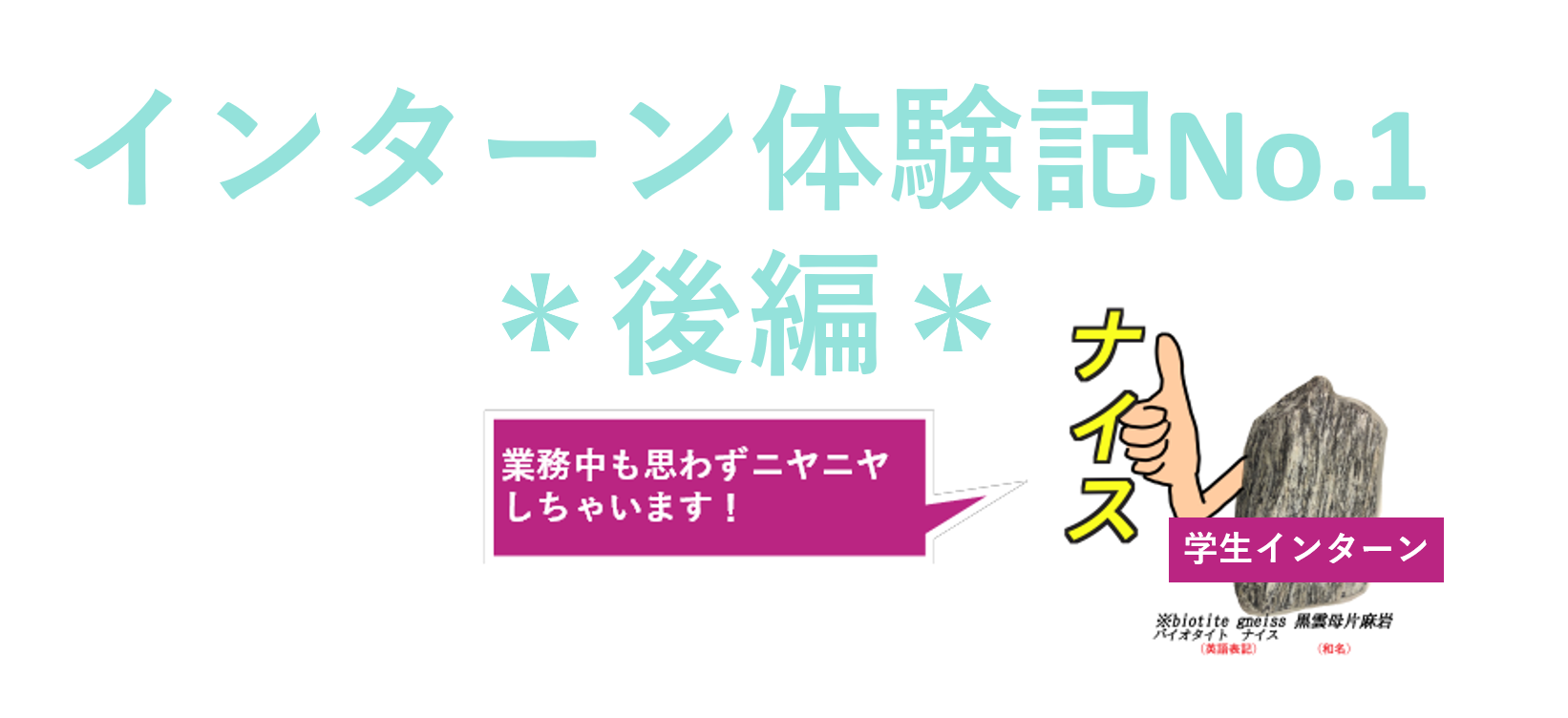 【インターン体験記】No.1＊後編＊　LEGIKAって何？～業務内容、会社の雰囲気、正直レポ～