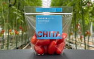自社農場で有機栽培するミニトマト『CHITA』は、日本各地のスーパーで販売中です