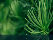 REAPRAでは、新たな産業を創り出すために、日々、"研究"と"実践"を重ねて、その体系化に取り組んでいます。