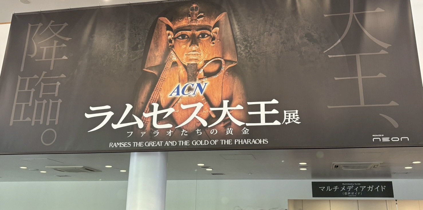 社員blog Vol.82「ファラオとビールに乾杯！ラムセス大王展で歴史に目覚めた日」