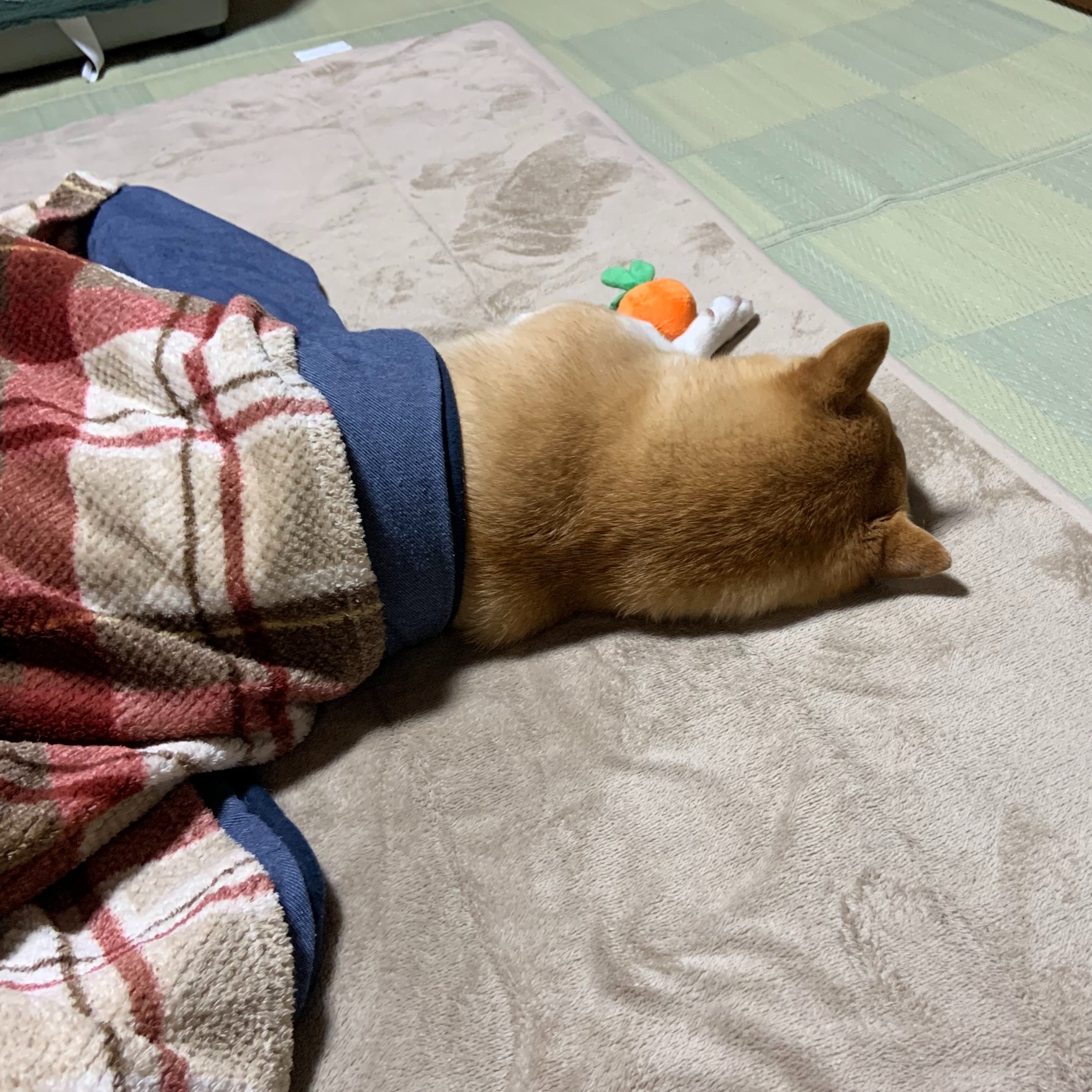 総務部　 採用人事担当 A・N