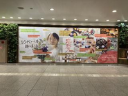 大阪駅に広告を掲出しました！