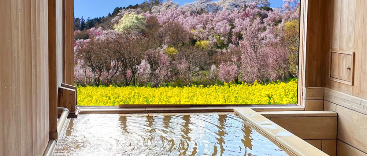 英語×スタートアップ企業でキャリアを磨きませんか？カスタマーサポート募集中