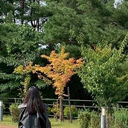 木村 響織
