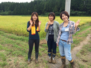 インターンシップのOGたち