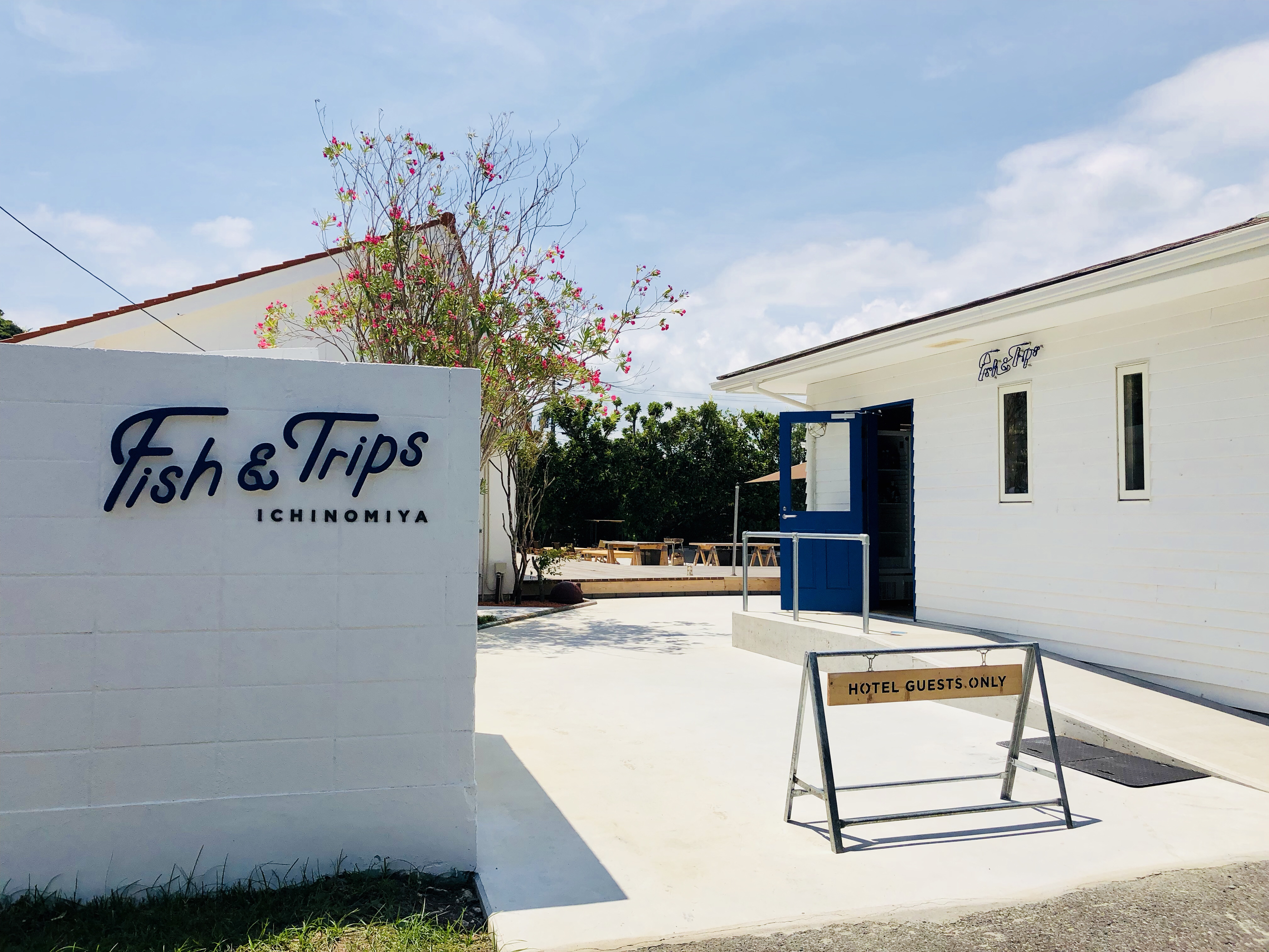 M&Aされた後の企業ってどうなるの？Yahoo!グループになって２年半の一休の場合