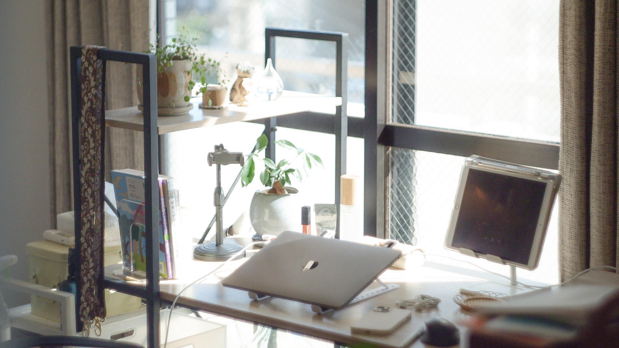 選考中に成長できる会社？フェリックスでの就活体験と入社後の日々