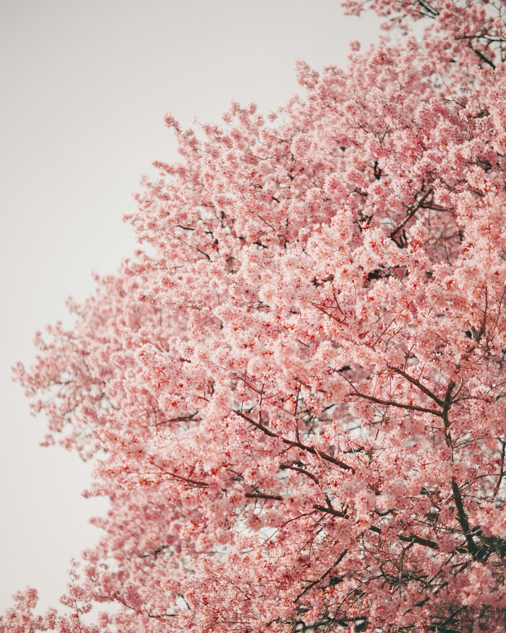 社会人一年目と今のTakanoを比べてみた