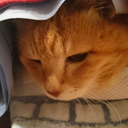 孝彰 今井