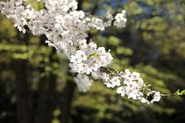 2023年3月で創立22周年を迎えました