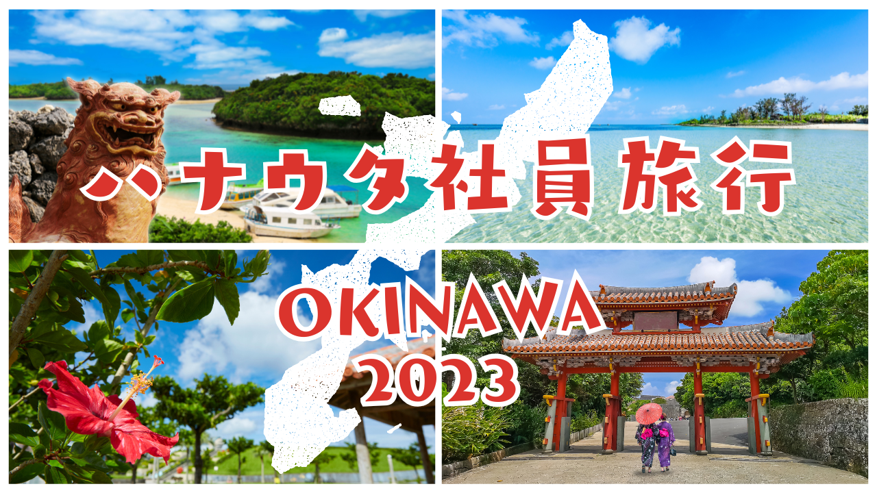 2023年の社員旅行は沖縄でした🌴