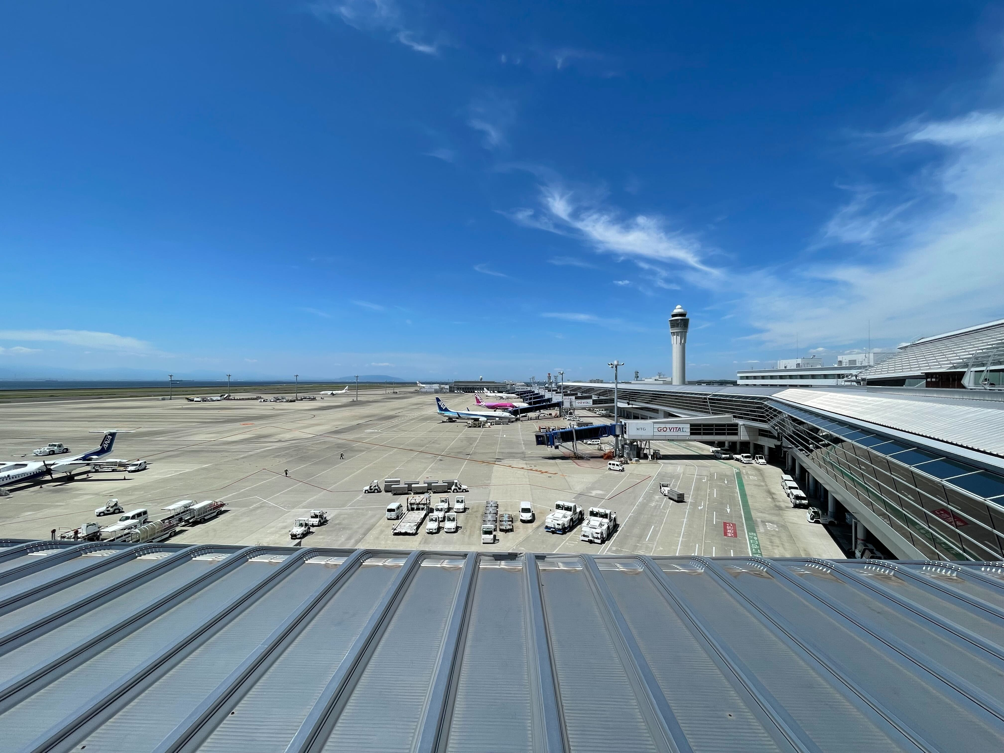 現役コーチに“リアル”を聞いてみた【Abuild就活】