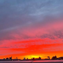 森本 由加