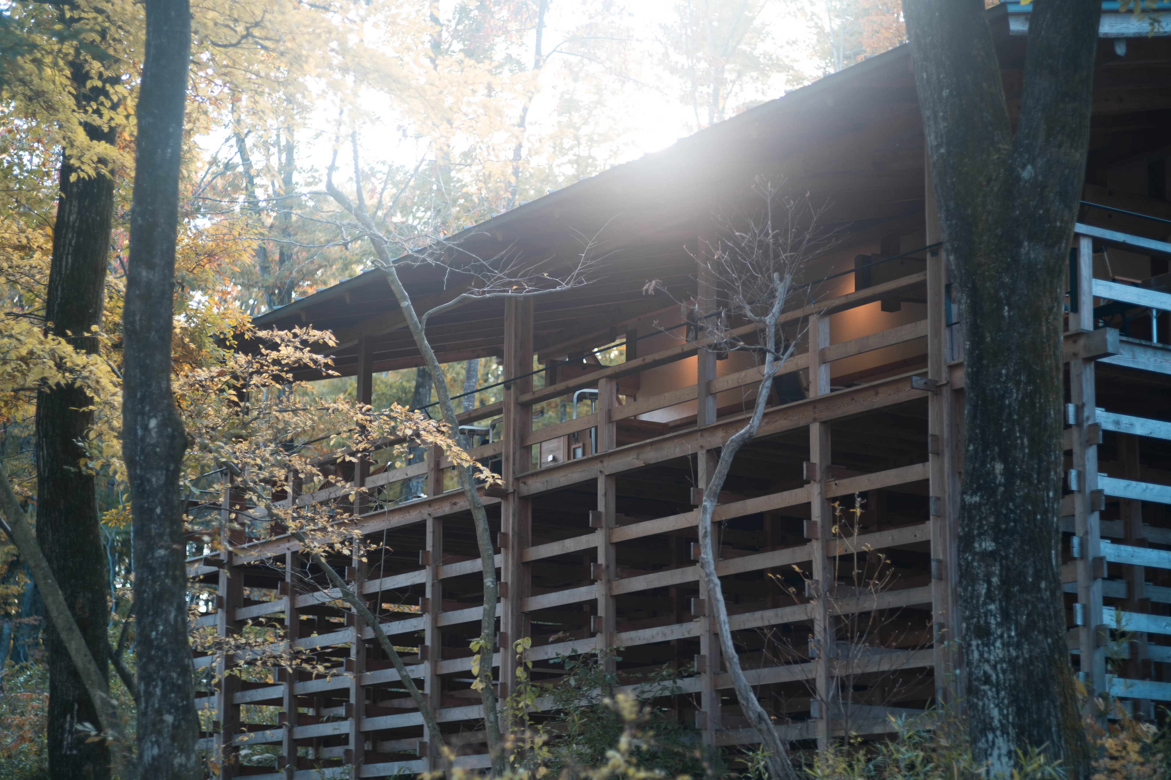 【初挑戦】社員で「山のオフィス」に行ってみた話 vol.1