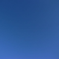 鈴木 由紀子さんのプロフィール