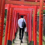 Watanabe
