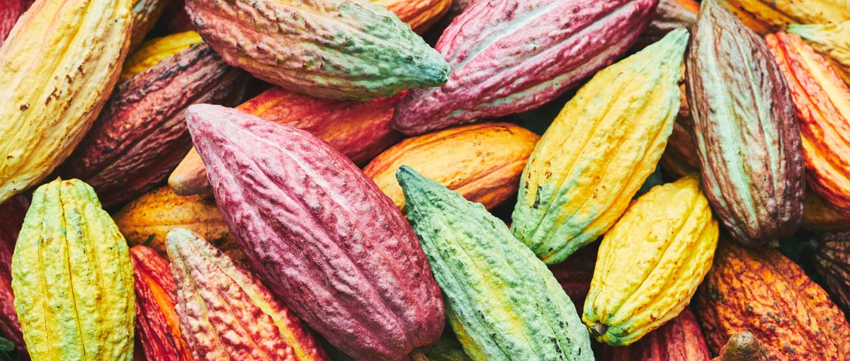 オープンポジション採用。ブランドの未来をつくる専門職へ。