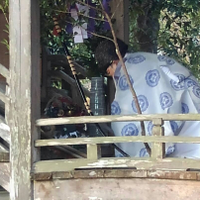 橋本 勝さんのプロフィール