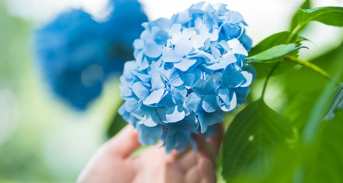 スタートアップに勤め3年目の今、若手のうちから入社して良かったと感じること