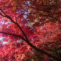 梶原　崇さんのプロフィール