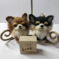 奥信 有莉さんのプロフィール