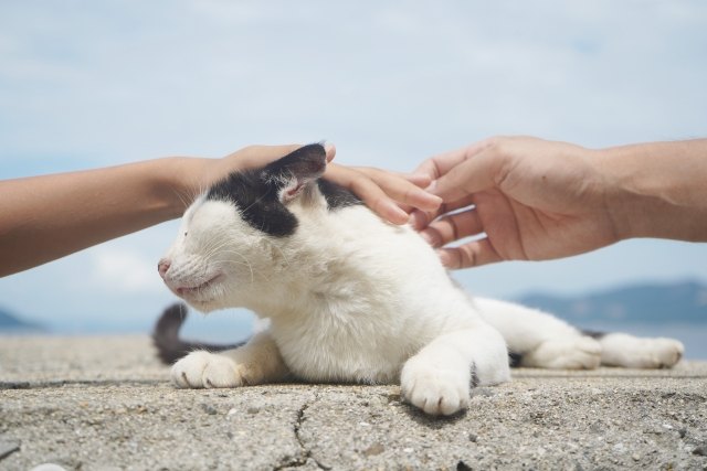 【言いたいことも言えないその時間】カジュアル面談って本当に必要なのか。