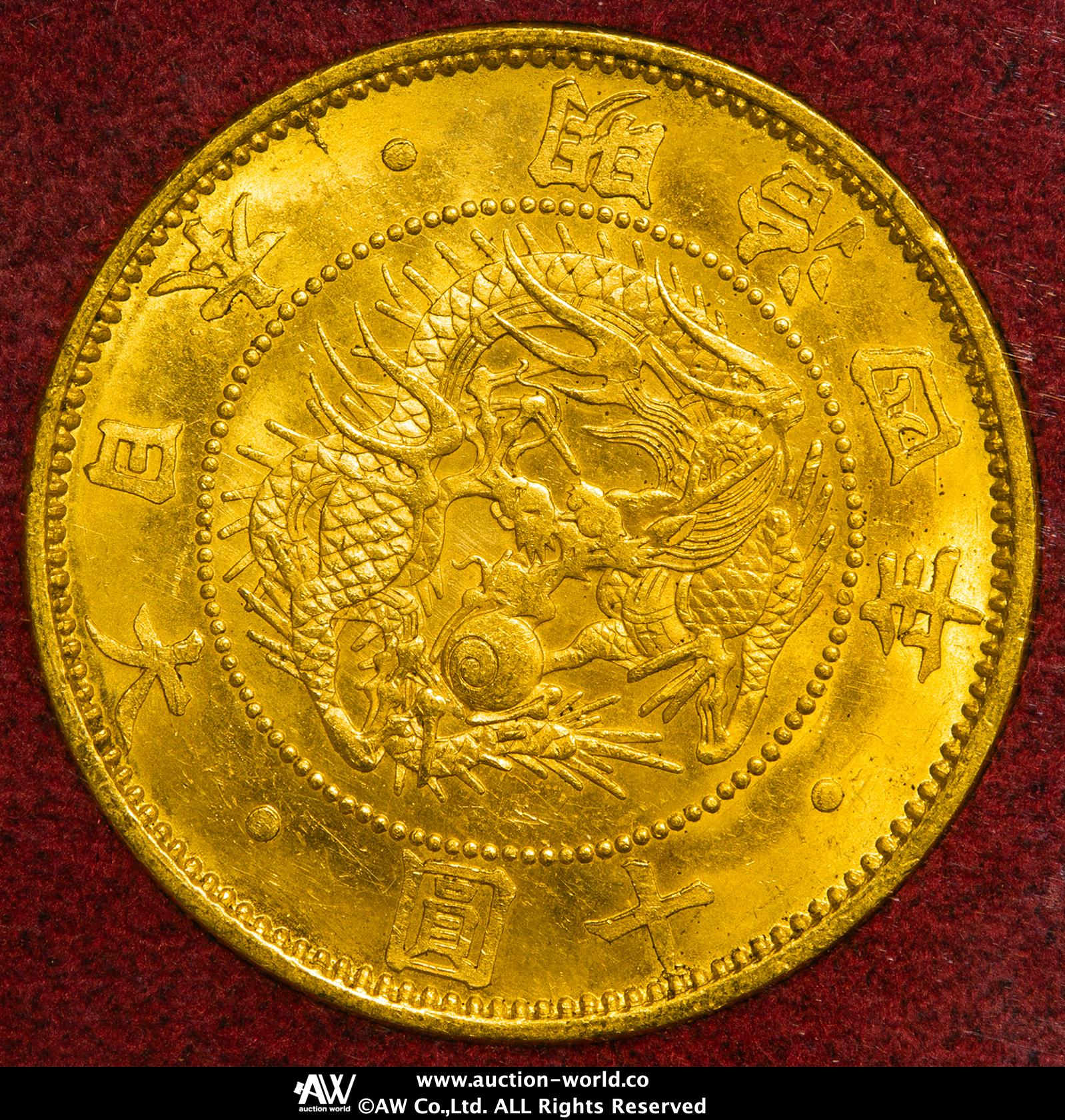 気づけば10年。知識ゼロから広がったコインの奥深い世界