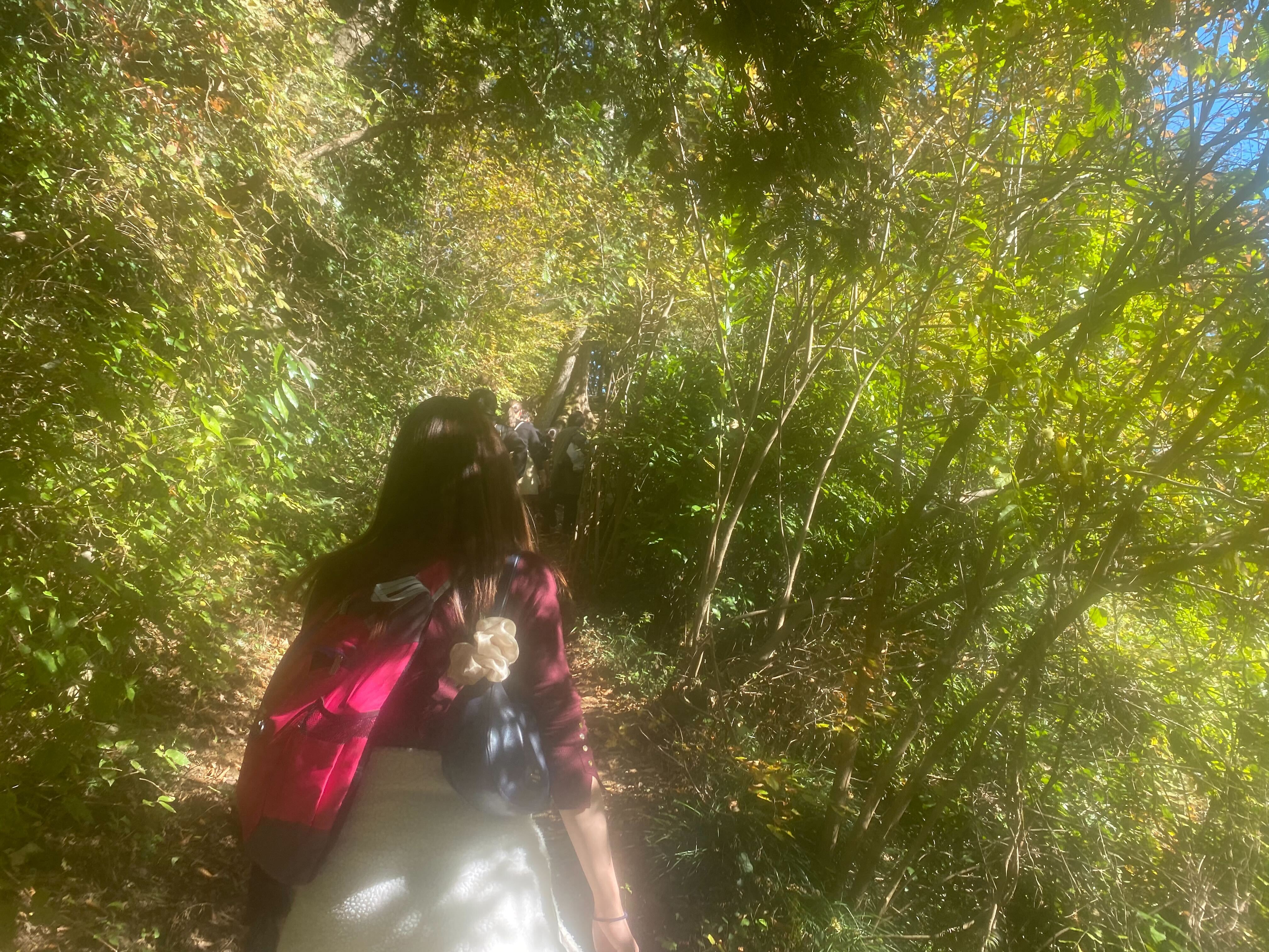 【2024年11月 アウトドア部】第1回目は高尾山へ登山！！