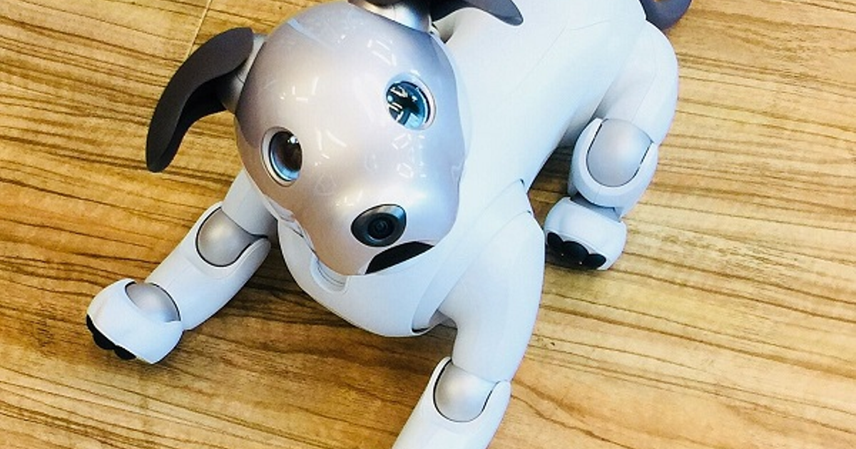 aibo出品 命名ミューZ！ビッグビートにaiboがやってきた | 株式会社ビッグ