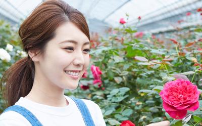 1本300円のバラを1億円売る女性社長と共に世界を目指すセールス募集